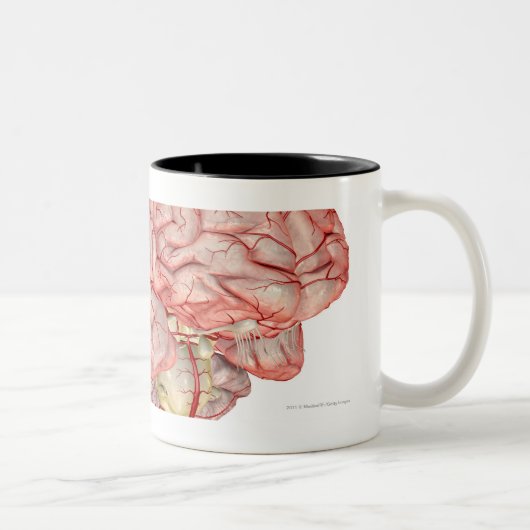 Tasse 2 Couleurs Rendu de Realitic de l'esprit humain (Droit)