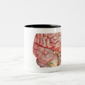 Tasse 2 Couleurs Rendu de Realitic de l'esprit humain (Centre)