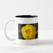 Tasse 2 Couleurs Renoncules (Gauche)