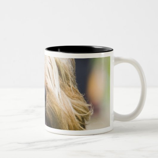 Tasse 2 Couleurs représentation de la langue, longs cheveux, (Droit)