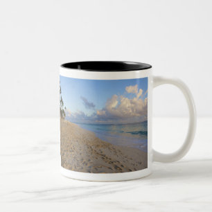 Tasse 2 Couleurs République dominicaine, La Altagracia, Punta Cana,