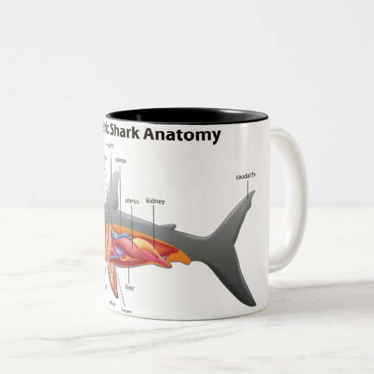 Tasse 2 Couleurs Requin (Devant droit)