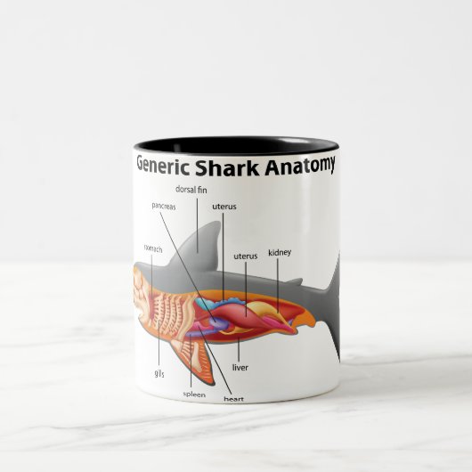 Tasse 2 Couleurs Requin (Centre)