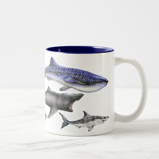 Tasse 2 Couleurs Requins du monde (Droit)
