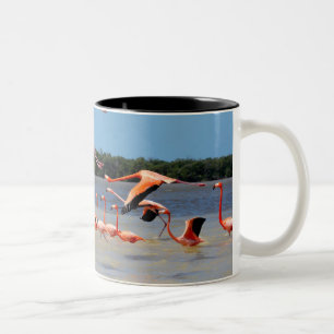 Tasse 2 Couleurs Réservation de biosphère de Celestun