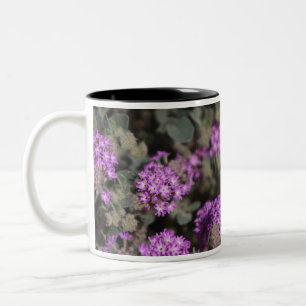 Tasse 2 Couleurs Réserve faunique de la Vallée de la Coachella pour