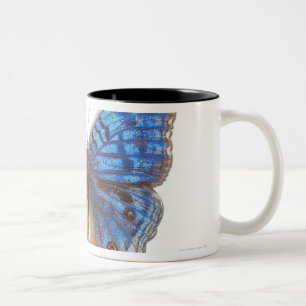 Tasse 2 Couleurs Rhadama de résumé