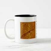 Tasse 2 Couleurs RHK IOM en octobre 2012 (Gauche)