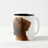 Tasse 2 Couleurs Rhodesian Ridgeback (Devant droit)