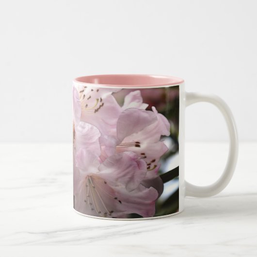 Tasse 2 Couleurs Rhododendrons Azalées roses Musique Florale (Droit)