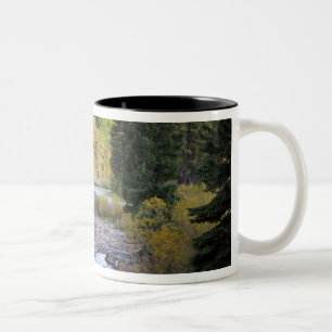 Tasse 2 Couleurs Rivière Provo et trembles