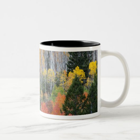 Tasse 2 Couleurs Rivière Provo et trembles (Droit)