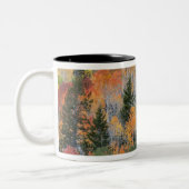 Tasse 2 Couleurs Rivière Provo et trembles (Gauche)
