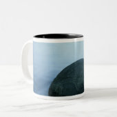 Tasse 2 Couleurs Rochers de Moeraki (Devant gauche)