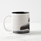 Tasse 2 Couleurs Roches sur le sable (Gauche)