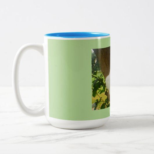 Tasse 2 Couleurs Rose dans Bloom (Gauche)