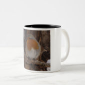 TASSE 2 COULEURS ROUGE-GORGE (Devant droit)