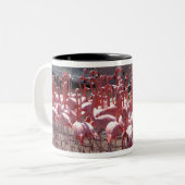 Tasse 2 Couleurs Route de Flamant rose (Devant gauche)