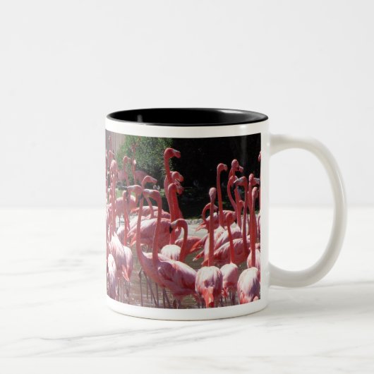 Tasse 2 Couleurs Route de Flamant rose (Droit)