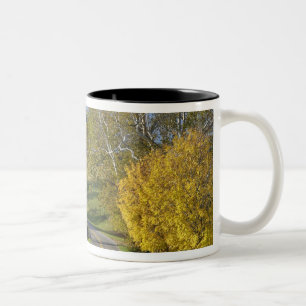 Tasse 2 Couleurs Route rurale à travers la région du Bluegrass dans