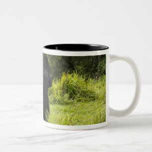 Tasse 2 Couleurs Rwanda, parc national des Volcans