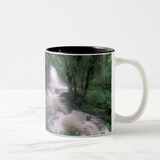 Tasse 2 Couleurs SA, Pérou, S.H. Machu Picchu, Cascade et nuage (Droit)