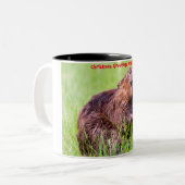 Tasse 2 Couleurs Salutations de Noël Mon petit castor (Devant gauche)