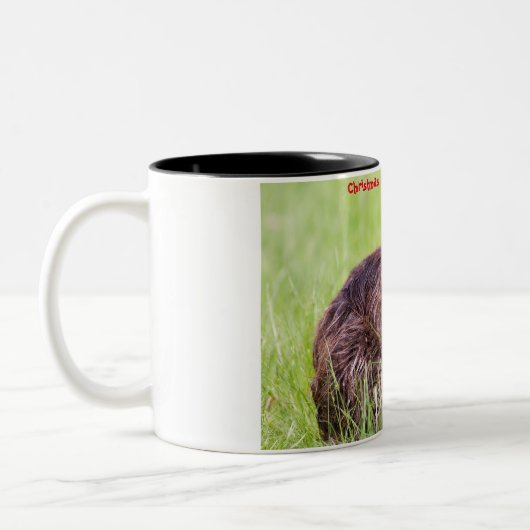 Tasse 2 Couleurs Salutations de Noël Mon petit castor (Gauche)