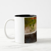 Tasse 2 Couleurs Salutations de Noël Mon Vieux Coyote (Gauche)