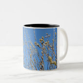 Tasse 2 Couleurs Saule de chat (Devant droit)