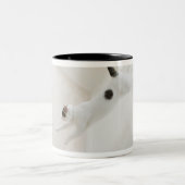 Tasse 2 Couleurs Sauter de chat (Centre)