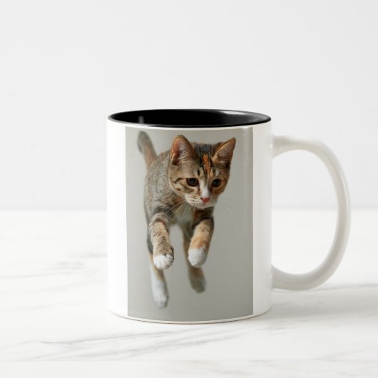 Tasse 2 Couleurs Sauter de chat de calicot (Droit)