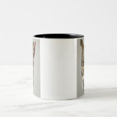 Tasse 2 Couleurs Sauter de chat de calicot (Centre)