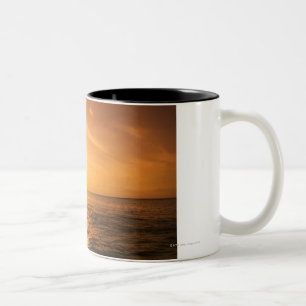 Tasse 2 Couleurs Sauter de dauphin de Bottlenose