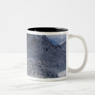 Tasse 2 Couleurs Schloss Hohenschwangau