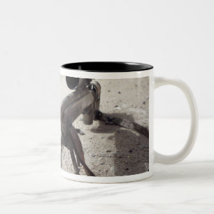 Tasse 2 Couleurs Schmidt et la cintreuse M-854155 DS
