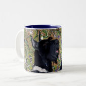 Tasse 2 Couleurs Schnauzer géant (Devant gauche)