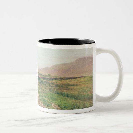 Tasse 2 Couleurs Secteur de lac (Droit)
