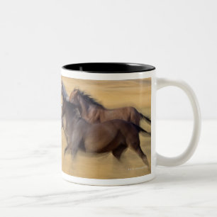 Tasse 2 Couleurs Sénèque, Orégon, Etats-Unis