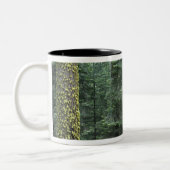 Tasse 2 Couleurs Séquoia géantes dans la forêt, Séquoia et (Gauche)