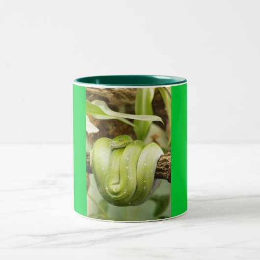 Tasse 2 Couleurs serpent (Centre)