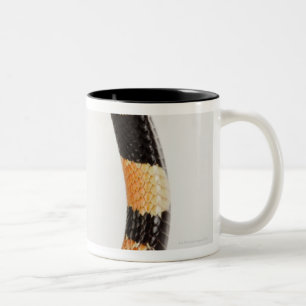 Tasse 2 Couleurs Serpent de corail africain (lubricus d'Aspidelaps)