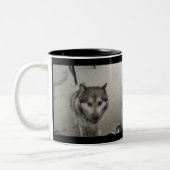 TASSE 2 COULEURS SHANOOK (Gauche)