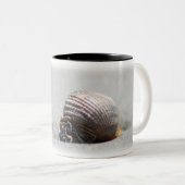 Tasse 2 Couleurs Shell dans le sable (Devant droit)