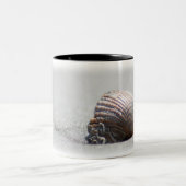 Tasse 2 Couleurs Shell dans le sable (Centre)