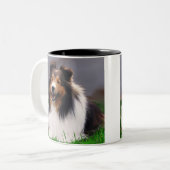Tasse 2 Couleurs Shetland Sheepdog Sheltie Cadeaux (Devant gauche)