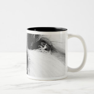 Tasse 2 Couleurs Shih Tzu