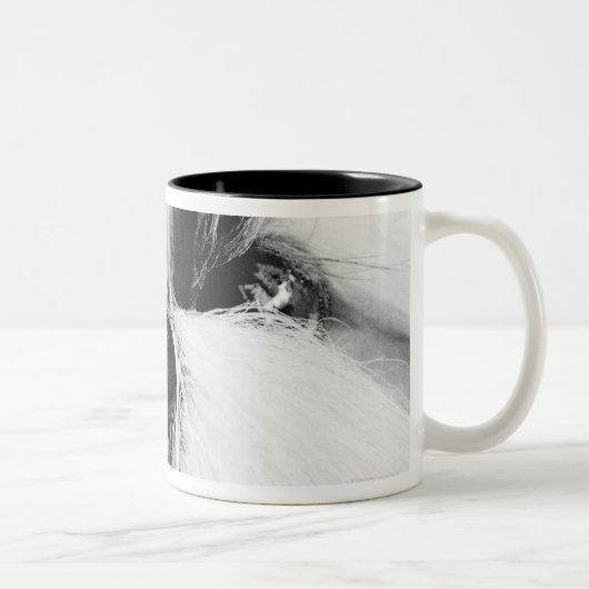 Tasse 2 Couleurs Shih Tzu (Droit)