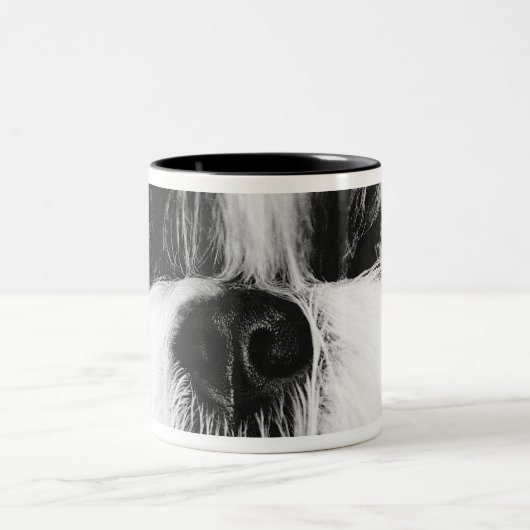 Tasse 2 Couleurs Shih Tzu (Centre)