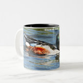 Tasse 2 Couleurs Shoveler Duck (Devant gauche)